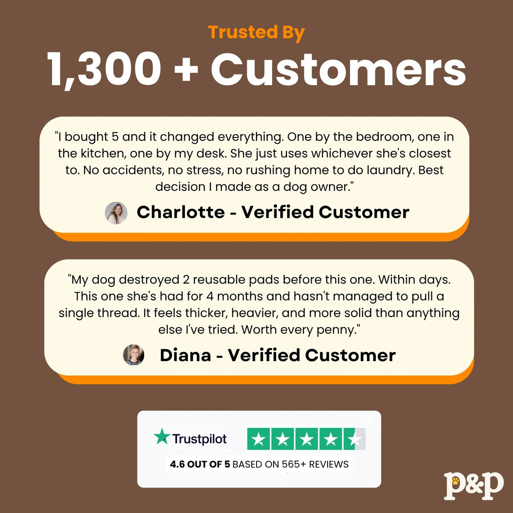 Pup Potty Pad - The Reusable Dog Pee Pad