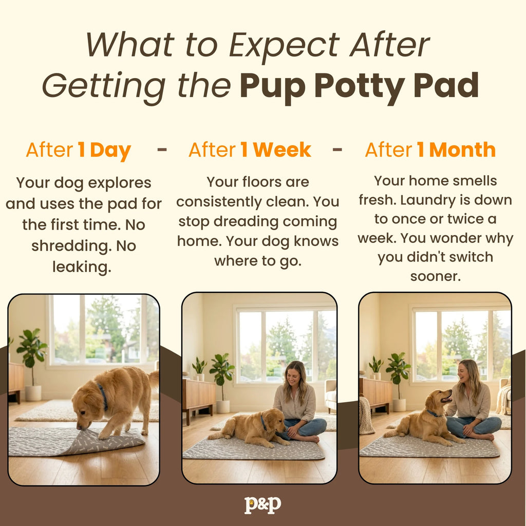 Pup Potty Pad - The Reusable Dog Pee Pad