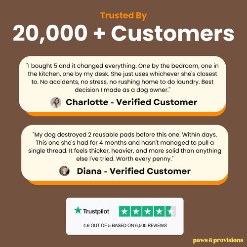 Pup Potty Pad - The Reusable Dog Pee Pad